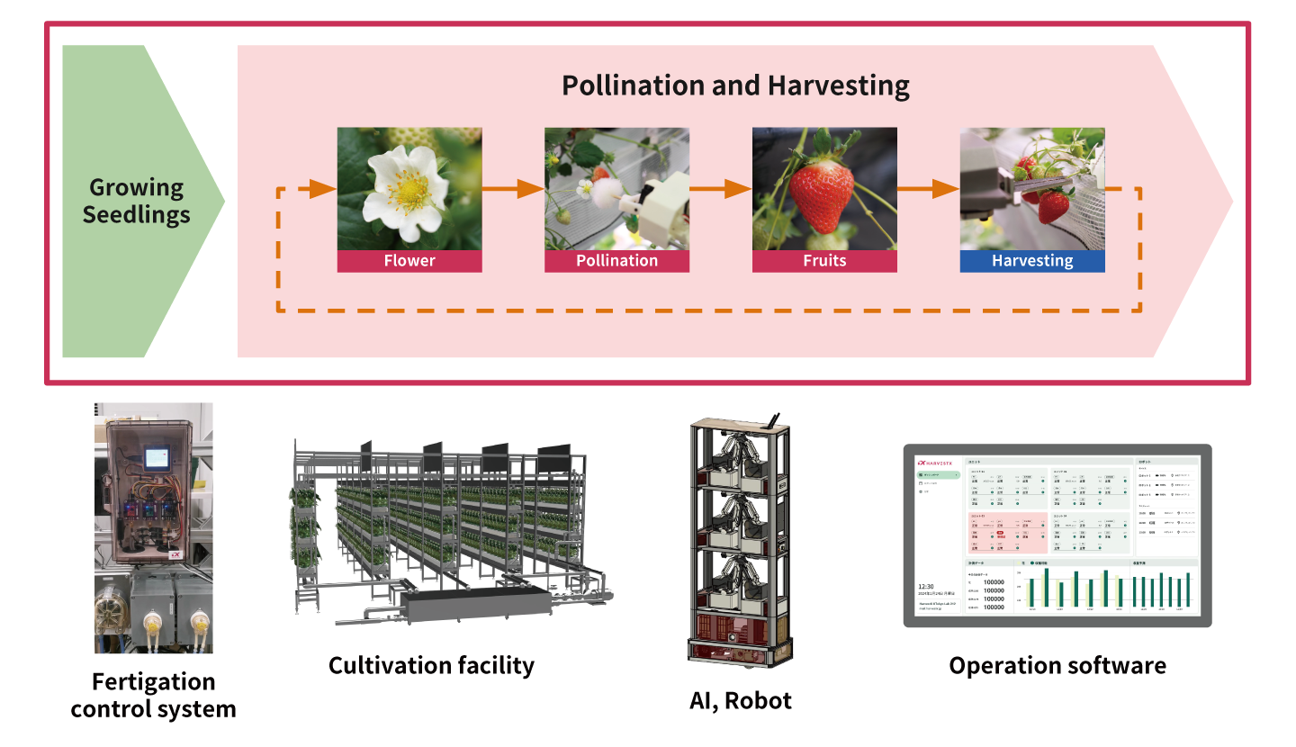 &ldquo;Providing various systems required for automatic strawberry cultivation in a single package.&rdquo;