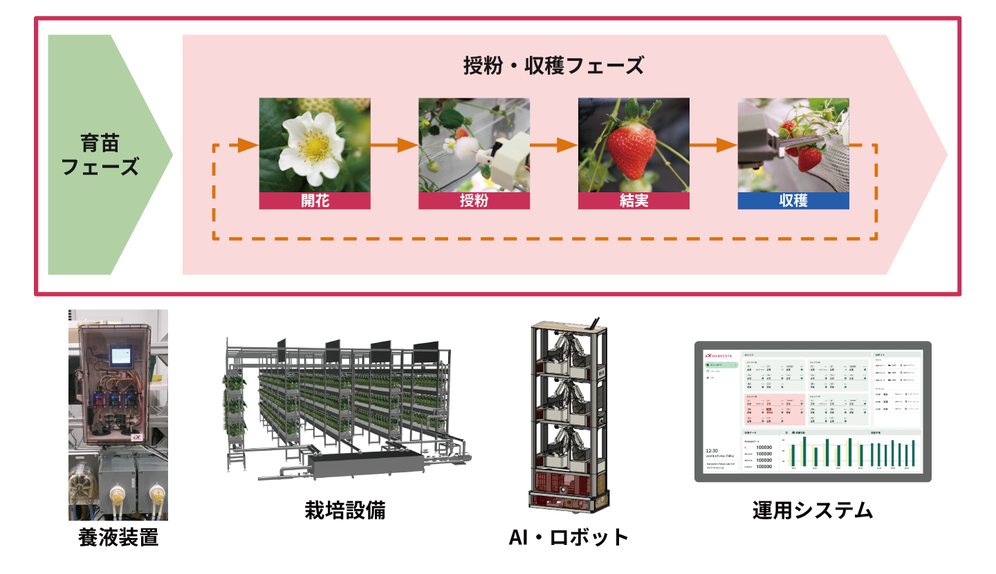 &ldquo;イチゴの自動栽培に必要な様々なシステムを一気通貫でご提供&rdquo;
